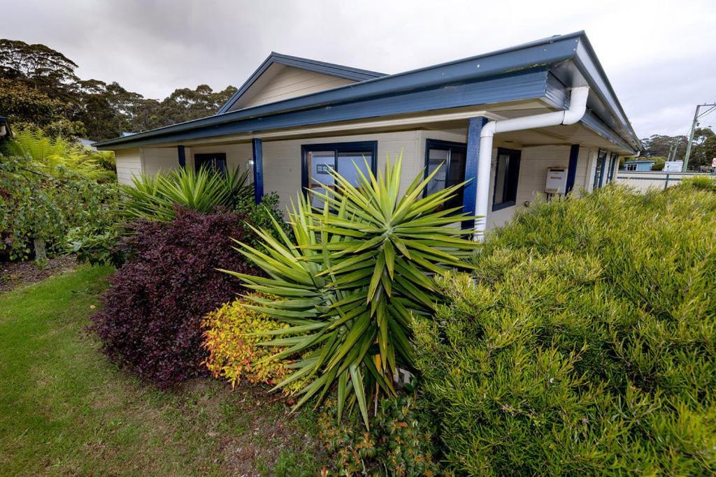 Big4 Strahan Holiday Retreat Exterior foto